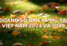Dự Báo Doanh Số Bán Xe MG Tại Việt Nam Năm 2024 và 2025: Cơ Hội và Thách Thức